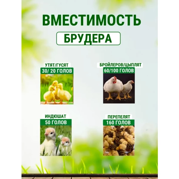 https://jmart.kz/images/detailed/11474/133830189-4.webp