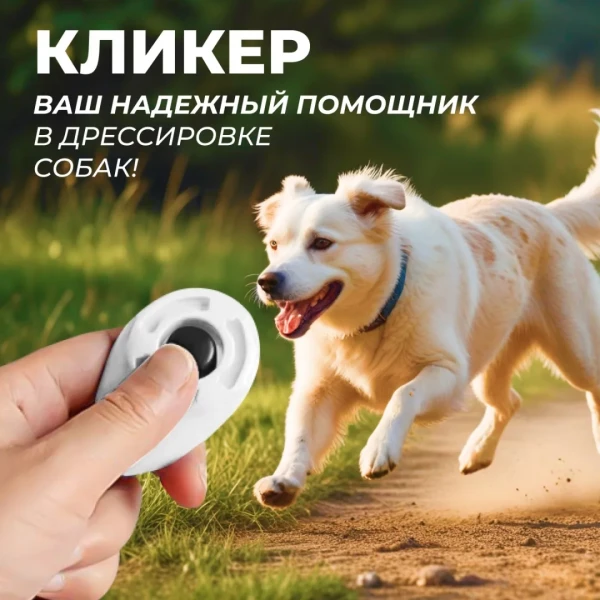 https://jmart.kz/images/detailed/11693/117993774-5.webp