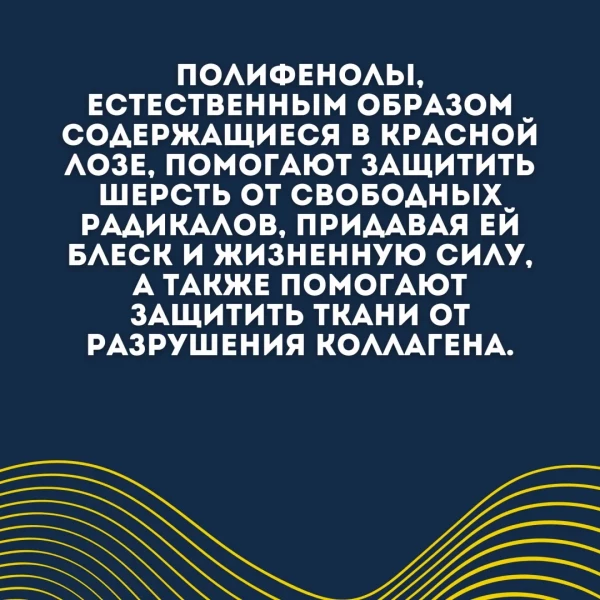 https://jmart.kz/images/detailed/12425/135443615-3.webp