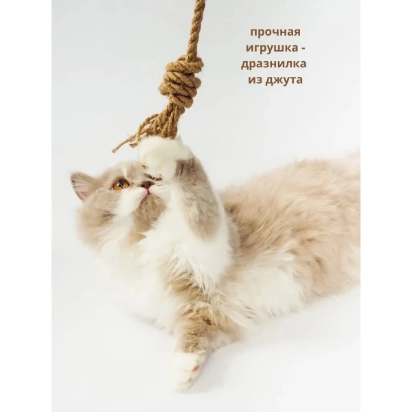 https://jmart.kz/images/detailed/12426/135442257-4.webp