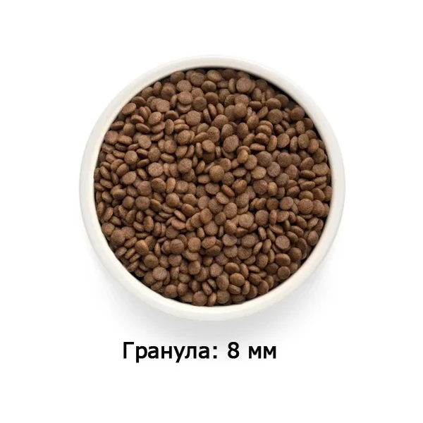 https://jmart.kz/images/detailed/12439/122091802-2.webp
