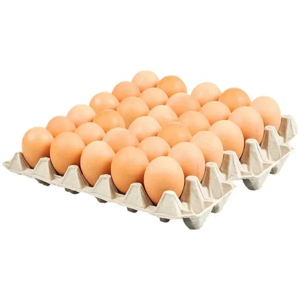 https://jmart.kz/images/detailed/12530/small4870007550022-product-660e456c0775b4.07253028-processed.webp