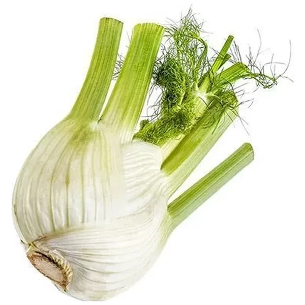 https://jmart.kz/images/detailed/12680/4049928164155-processed.webp