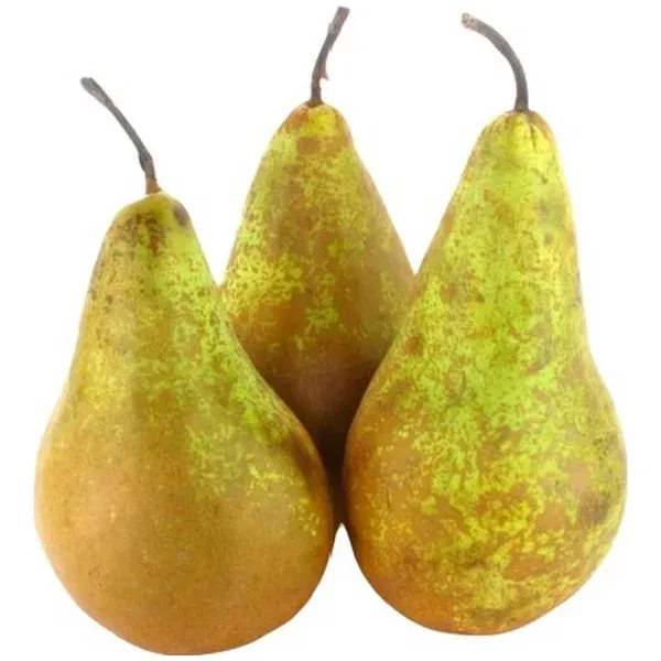 https://jmart.kz/images/detailed/12711/705738-processed.webp