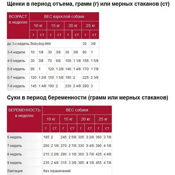https://jmart.kz/images/detailed/3341/rest_100325614_2.jpg