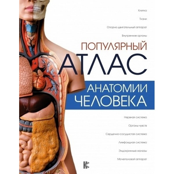 https://jmart.kz/images/detailed/3386/palyceva-l-n-lazarev-n-v-popularnyj-atlas-anatomii-celoveka-101170861-1.jpg