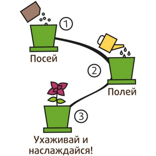 https://jmart.kz/images/detailed/3626/happy-plant-vyrasivanie-rastenij-tomat-cerri-hpn-7-104246018-3.JPG