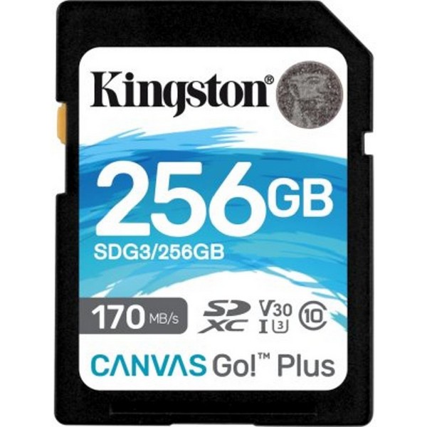 https://jmart.kz/images/detailed/3826/karta-pamati-kingston-256gb-class-10-u3-sdg3-256gb-103146616-1.jpg