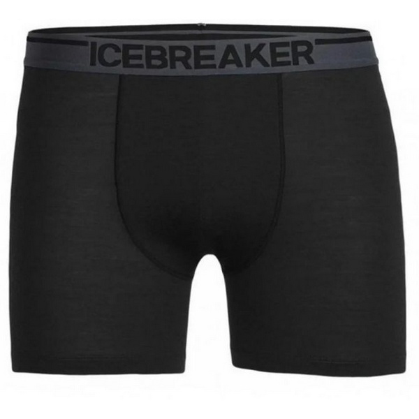 https://jmart.kz/images/detailed/4162/icebreaker-anatomica-103029-010-104893338-1jpg_wo0h-9g.jpg