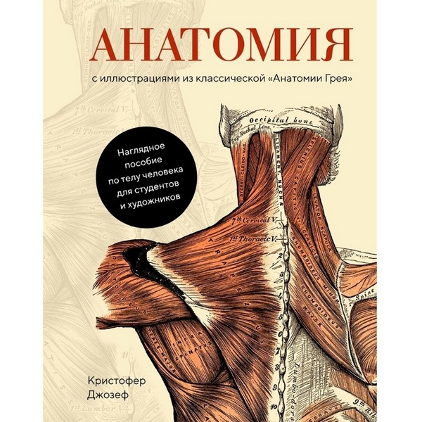 https://jmart.kz/images/detailed/4318/dzozef-k-anatomia-s-illustraciami-iz-klassiceskoj-anatomii-grea-101835843-1.jpg