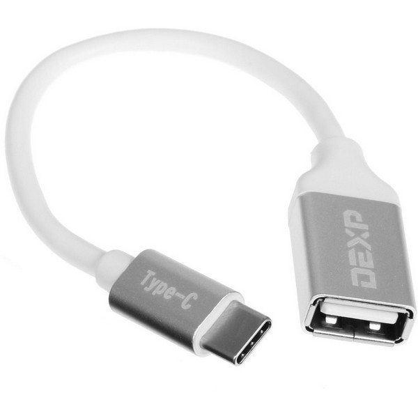 https://jmart.kz/images/detailed/4502/kabel-dexp-omtcsm100-usb-type-c-usb-0-10m-serebristyj-106866618-1.JPG