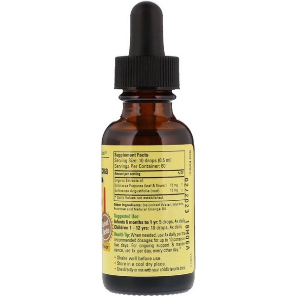 https://jmart.kz/images/detailed/4547/childlife-vitamin-echinacea-natural-orange-flavor-30-ml-101752160-2.JPG