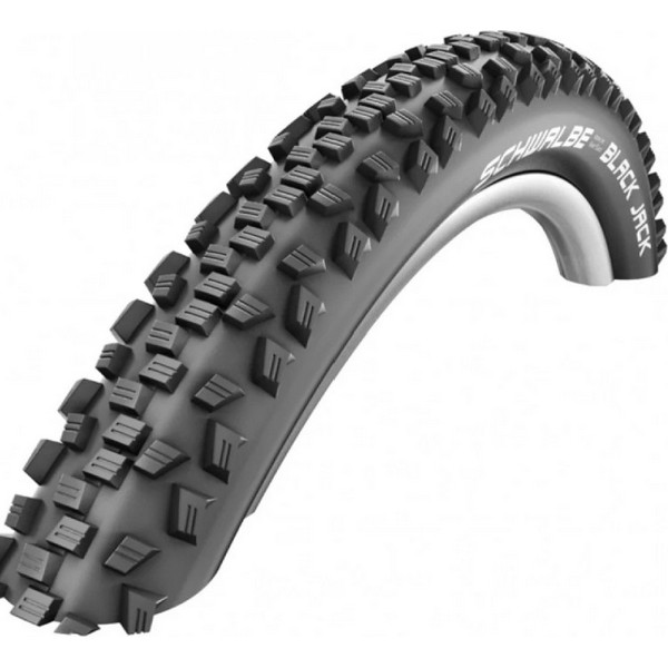 https://jmart.kz/images/detailed/4832/schwalbe-black-jack-k-guard-11100065-02v-16-106601905-1.jpg