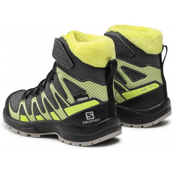 https://jmart.kz/images/detailed/4897/salomon-xa-pro-v8-winter-cswp-414335-cernyj-104247960-2.jpg