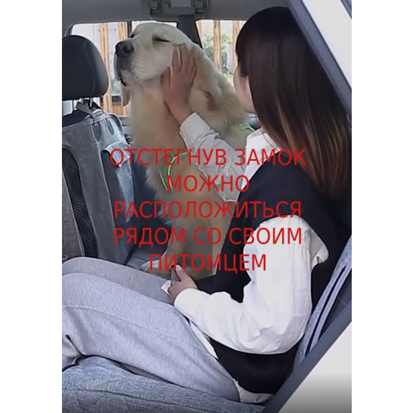 https://jmart.kz/images/detailed/4934/avtogamak-dlya-sobak-seryi-109048436-9-product_641067f6548417.60321781.jpg