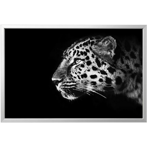 https://jmart.kz/images/detailed/5319/ikea-berksta-gepard-294-163-29-118x78-sm-101837624-1.jpg