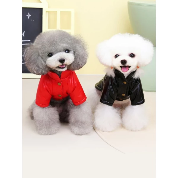 https://jmart.kz/images/detailed/6576/108363899-9.webp